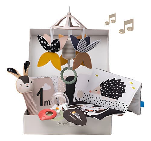 Set Juguetes Sensoriales Blanco Y Negro Bebe Taf Toys